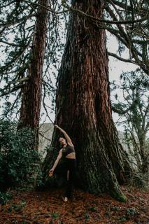 Le Grand Petit Prince - Domaine de Charme - Jacuzzis privatifs - Guebwiller - 2