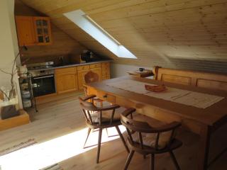 Appartment Haus Zirknitz - 1