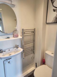 Three horse shoes - 4