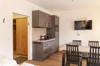 Appartement Alpine Four by Schladming-Appartements - 4