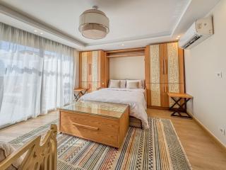 Arabian studio roof in villette - 4