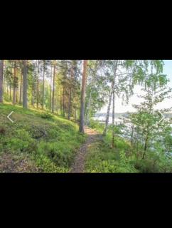 Дом на берегу озера Саймаа - 9