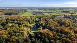 Forest Retreat Holenduif - 6