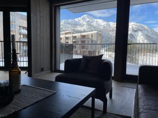 Charming new ski-in-ski-out apartment in Hemsedal - 9