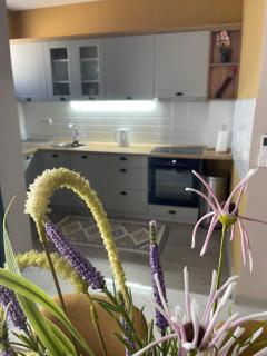 Apartman Green Oaza - 6