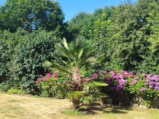 Gîte Le Petit Menhir - 6