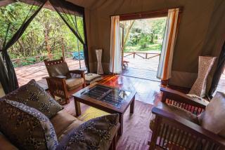 Instinct of the Mara - 8