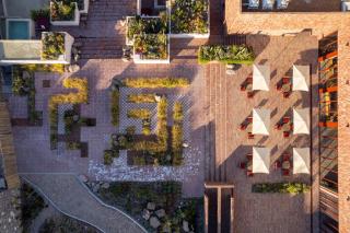 Albor San Miguel de Allende, Tapestry Collection by Hilton - 2