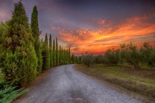 Podere Lamone a Monticchiello - 3