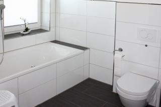 Sturmmöwe - 2