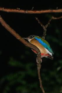 Sama Sama Homestay & Trekking Only Stay Here Book Trekking and Transport With Us - 7