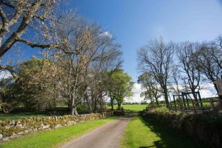 Simmental Cottage - 6