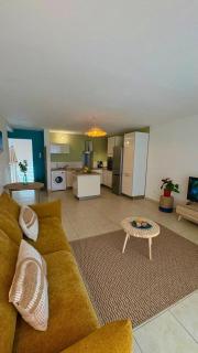 Petit Palmier - Havre tropical - 6