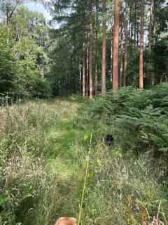 Entire home farm stay - 4