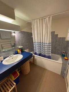 Ski et Rando Logement cosy face au Lac de Fabrèges Artouste - 1