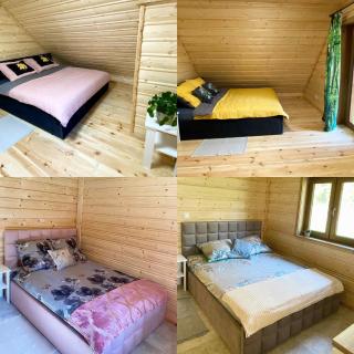 Radość o poranku - 1