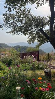 Shenlik Rest House - 1