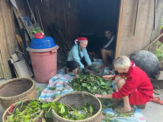 The #Happylife Experience Deluxe Bungalow! - 1