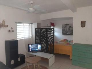 Studio convivial à Les Abymes, 25 m² avec terrasse - 0