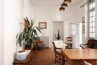 Grand appartement dans hôtel particulier XVIe siècle - cœur de ville - 8