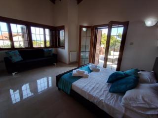 Luxury Stone Villa & Pool in Peaceful Pine Forest - 3