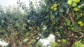 Beachbreeze Oceanfront 4BR1Den4BA Romantic Sunrise & Celestial Views - 8