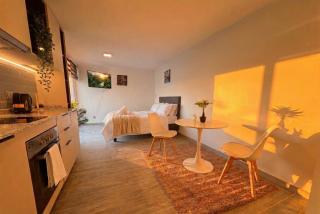 Nuevo Studio I Movistar Arena I Zona centro - 8