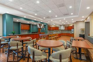Drury Plaza Hotel St Louis Brentwood - 6