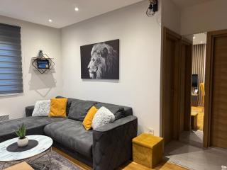 Apartman Ljubav Zlatibor - Spa,terasa i parking - 4