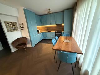 Luxury Apartment Bonavita Otopeni Airport - Balcony & private Parking - 8