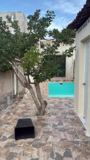 Flamingos Paraiso Chabihau - 2