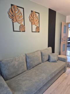 Apartament na Sowiej - Przylesie - 6