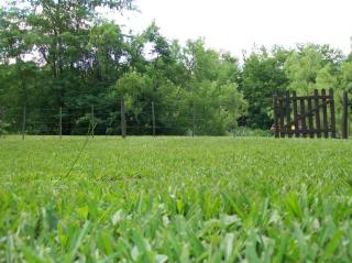 la riviere - Alta Gracia - 7