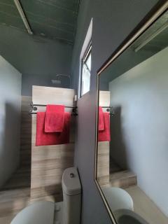 The Bee's Knee's - 4