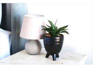 Little Waters Bnb - 0