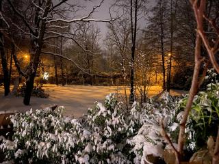 De eiken lodge retreat - 5