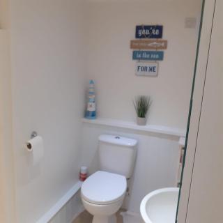 Saundersfoot pembrokeshire - 5