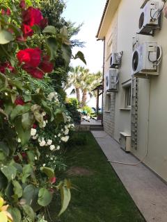 Beach 6 Bdr SPA Villa - 5