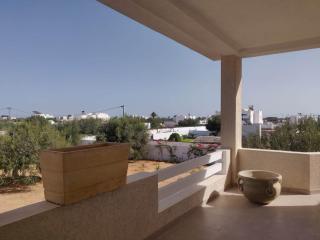 Villa Rim - Pool, Jacuzzi Dream Garden in Arkou - 6