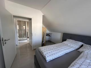 New Luxury Apartment in Kleinostheim - 2