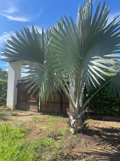 Casa bella de campo Wifi billar piscina bolirana !privado! - 4