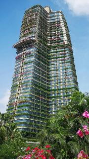 Forest City Eco Stay - 7