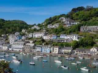 9 Stonerush Valley - Looe - 4