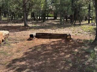 Cozy 2BR Updated Cabin in the Pines, Happy Jack - 5