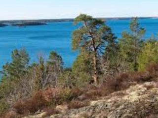 5 star holiday home in Nävekvarn - 4