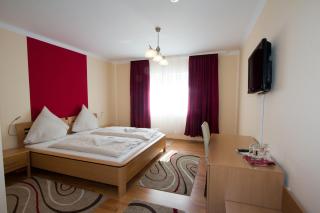 Hotel Rhein-Mosel-View - Coblenza - 7