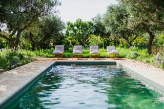 Puglian Farmhouse Near Alberobello Trulli - 0