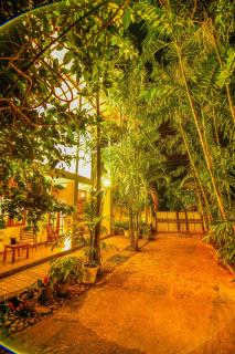 Summerland Residence - 9