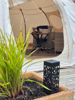 Blue Aster Retreat - 5