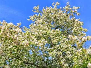 5 person holiday home in Sæby-By Traum - 4